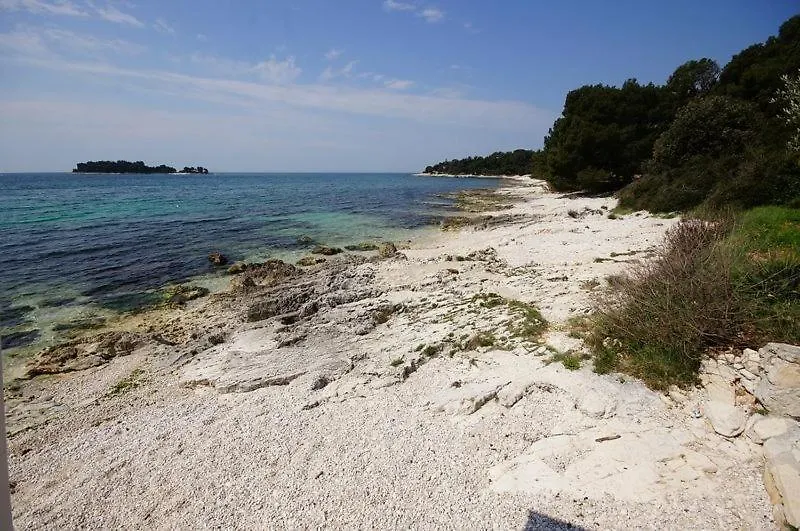 Room In Rovinj With Terrace, Air Conditioning, W-Lan 81-6 0*,  Croatia