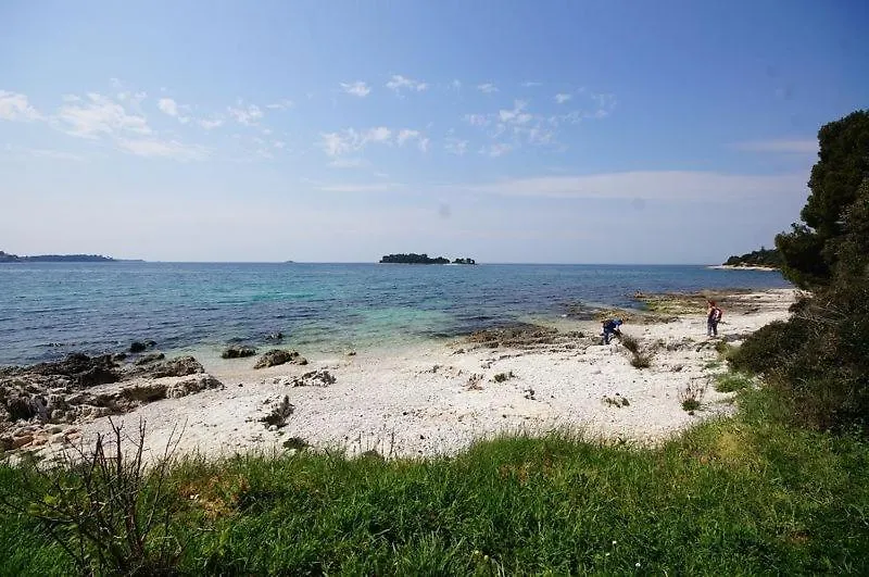 Room In Rovinj With Terrace, Air Conditioning, W-Lan 81-6 Affittacamere