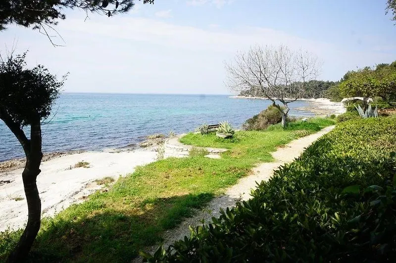 Room In Rovinj With Terrace, Air Conditioning, W-Lan 81-6 Guest house