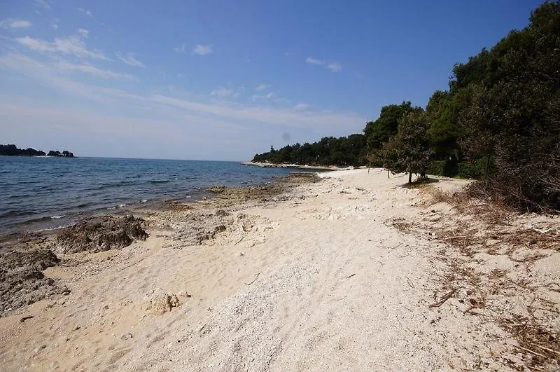 Room In Rovinj With Terrace, Air Conditioning, W-Lan 81-6 Croatia