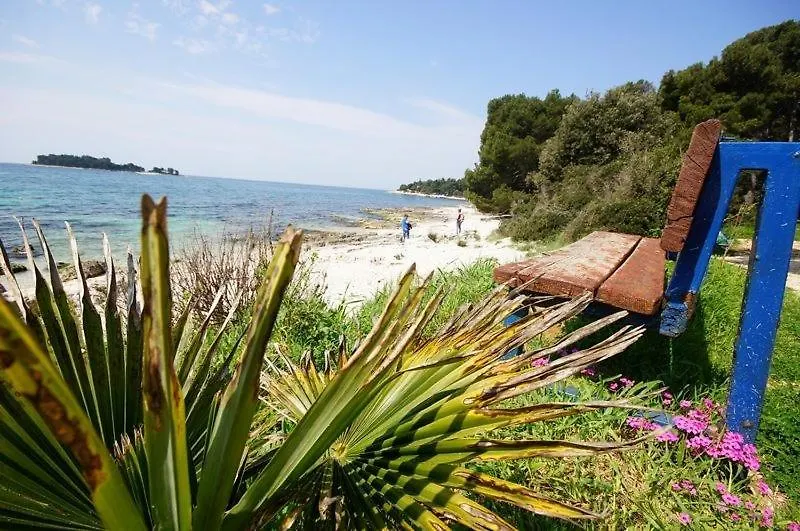 Room In Rovinj With Terrace, Air Conditioning, W-Lan 81-6